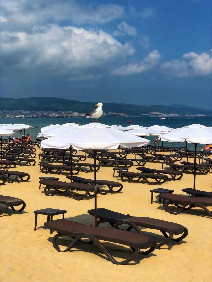 Отель Hotel Cоmplex Avliga Beach - Halfboard Солнечный Берег-38